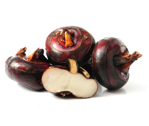 ARCHAEOLOGY OF FRUITS & VEGETABLES – WATER CHESTNUT