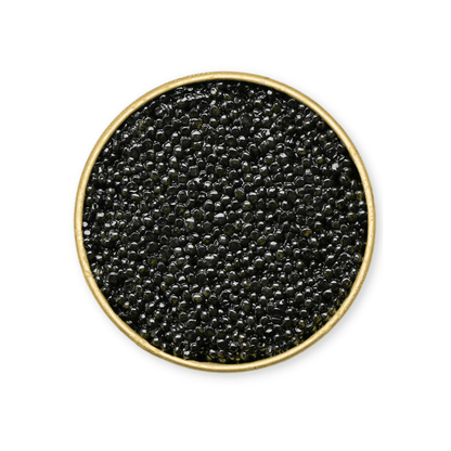 Siberian Sturgeon Caviar