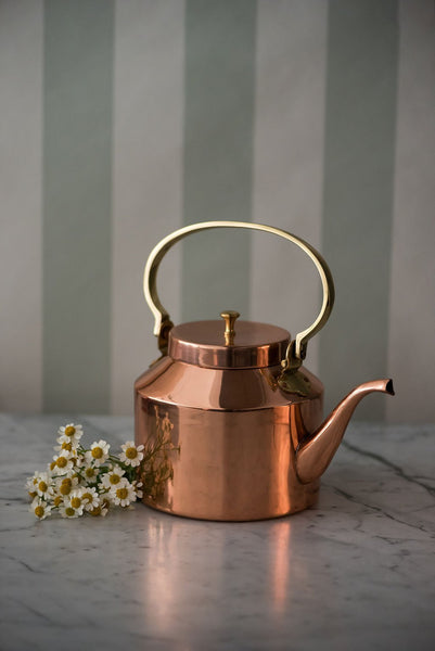 English Copper Tea Kettle loading=