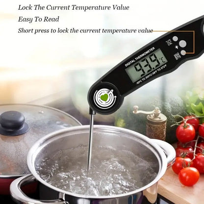 Waterproof Digital Thermometer